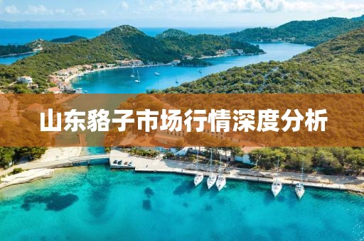 山東貉子市場行情深度分析