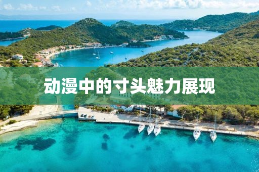 動漫中的寸頭魅力展現(xiàn)