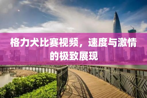 格力犬比賽視頻，速度與激情的極致展現(xiàn)
