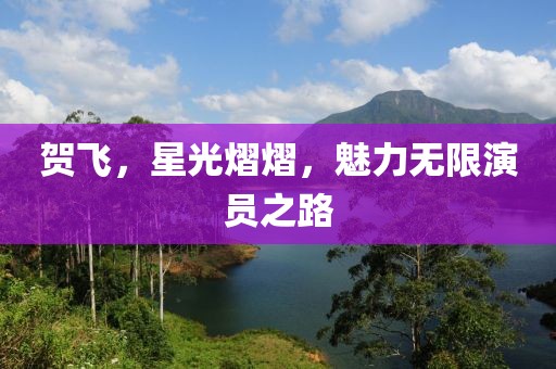 賀飛，星光熠熠，魅力無(wú)限演員之路