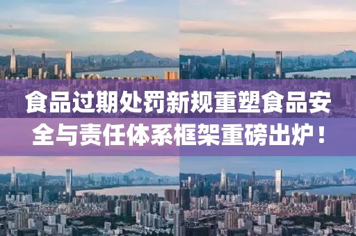食品過期處罰新規(guī)重塑食品安全與責(zé)任體系框架重磅出爐！