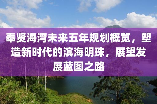 奉賢海灣未來(lái)五年規(guī)劃概覽，塑造新時(shí)代的濱海明珠，展望發(fā)展藍(lán)圖之路