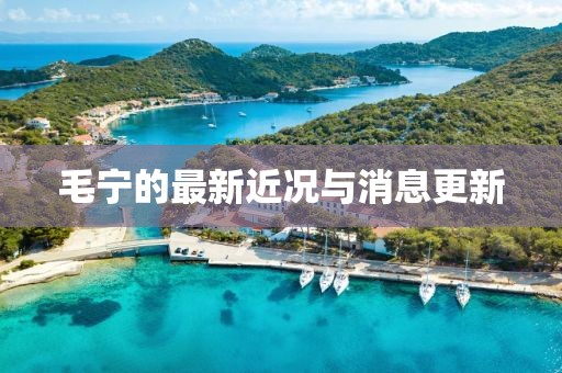毛寧的最新近況與消息更新
