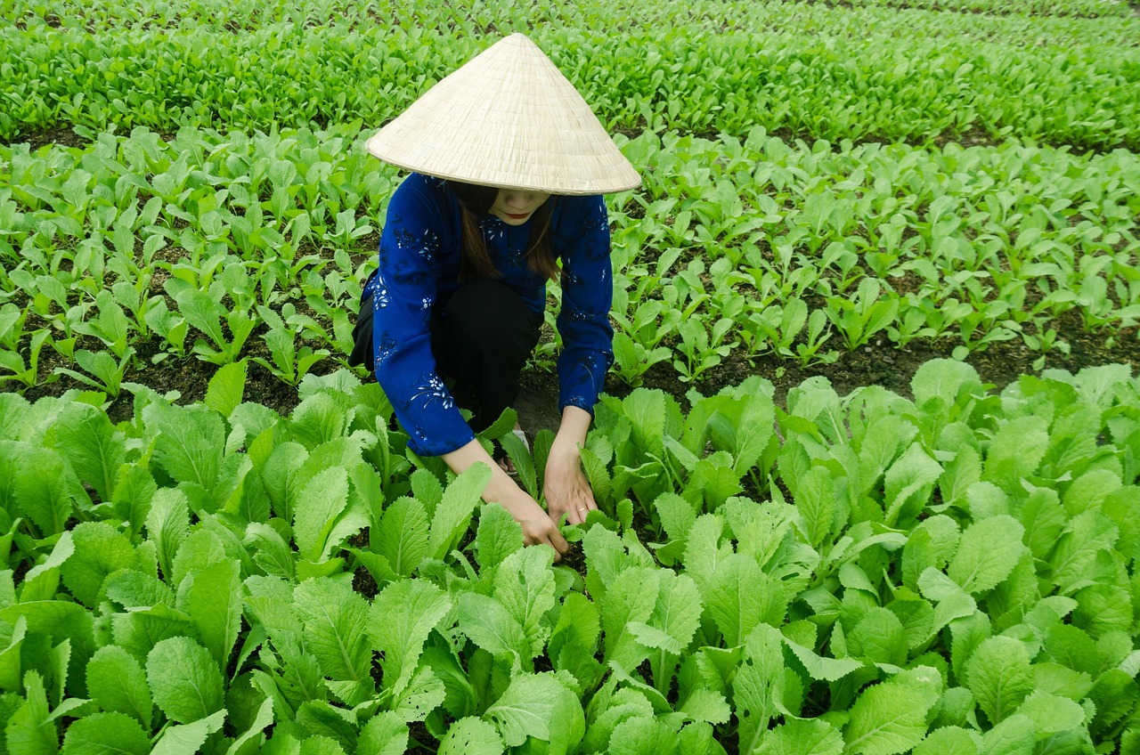 濟(jì)南齊魯之門項(xiàng)目最新進(jìn)展動(dòng)態(tài)揭秘