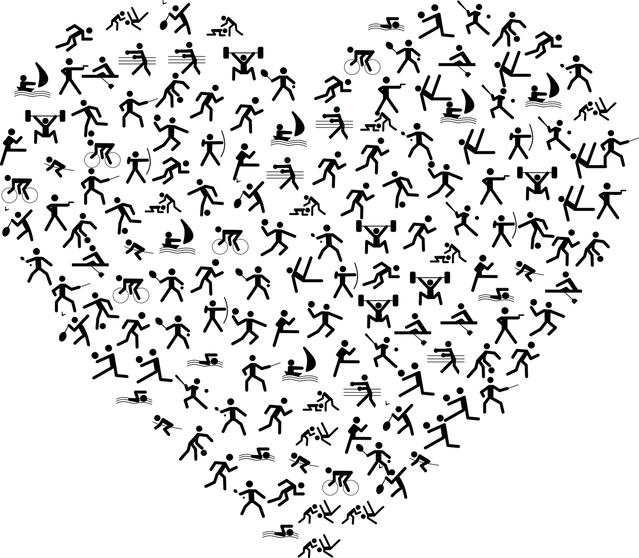 豐臺(tái)信鴿賽事動(dòng)態(tài)，賽場(chǎng)激情與競(jìng)技精神的探尋