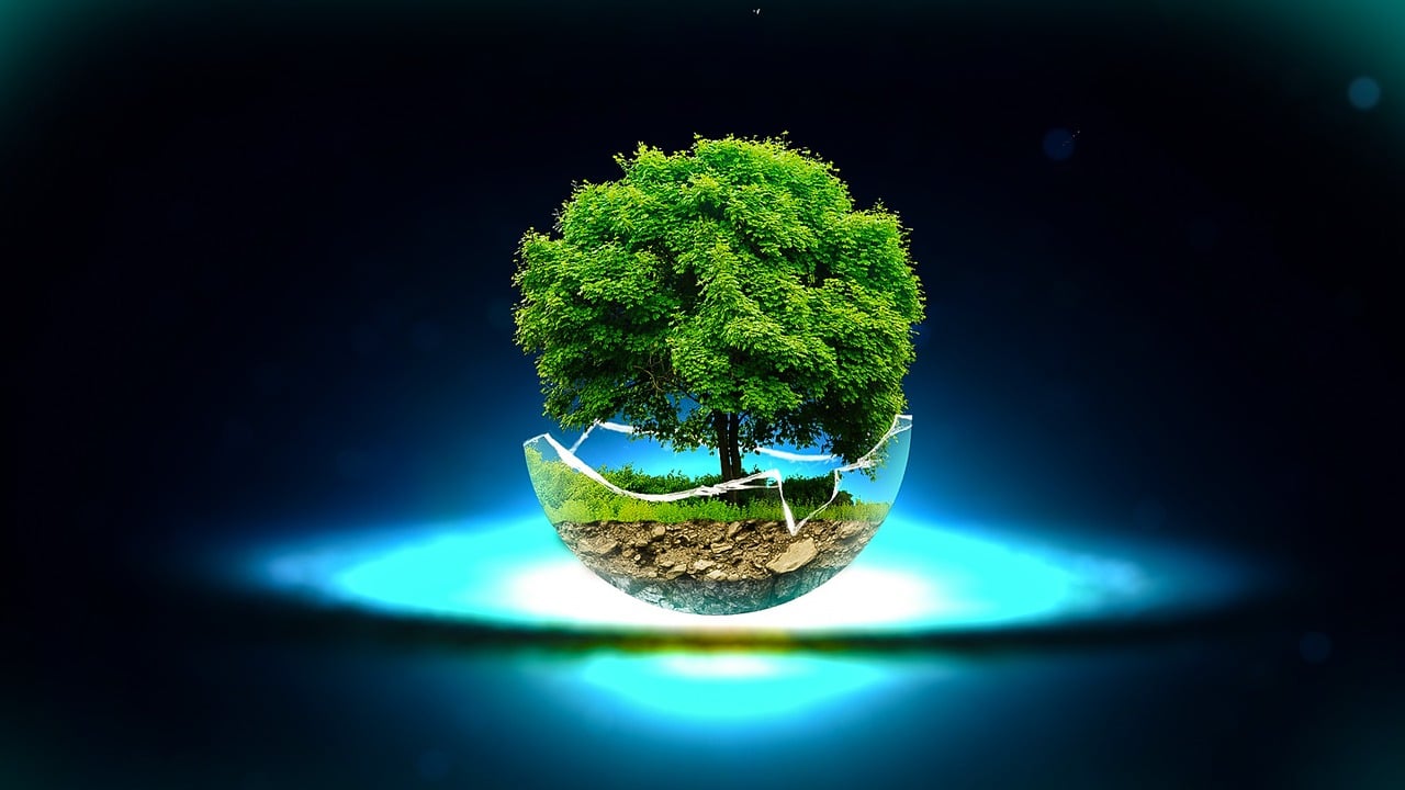 深圳啟明星，璀璨之星照亮未來之路
